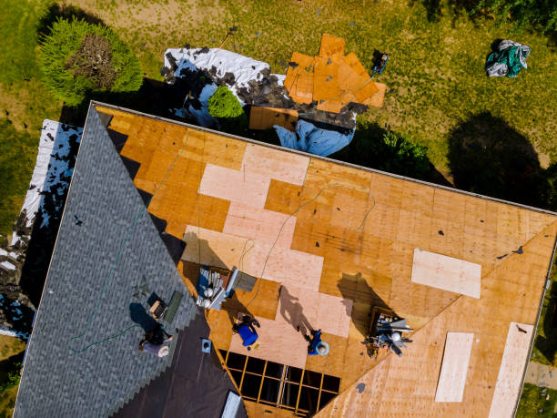 Best Roof Maintenance Services  in Teague, TX